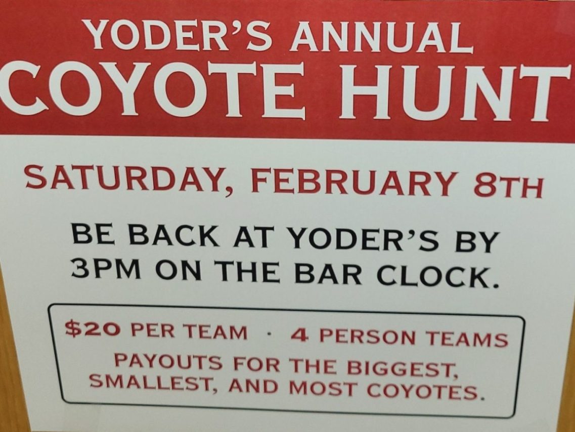 Annual Coyote Hunt – Yoder’s