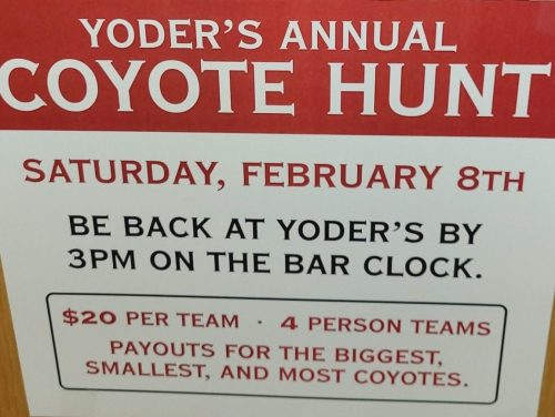 Annual Coyote Hunt – Yoder’s