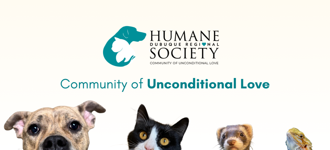 Humane Society Adopt a Pet – Coconut Cove RV Resort