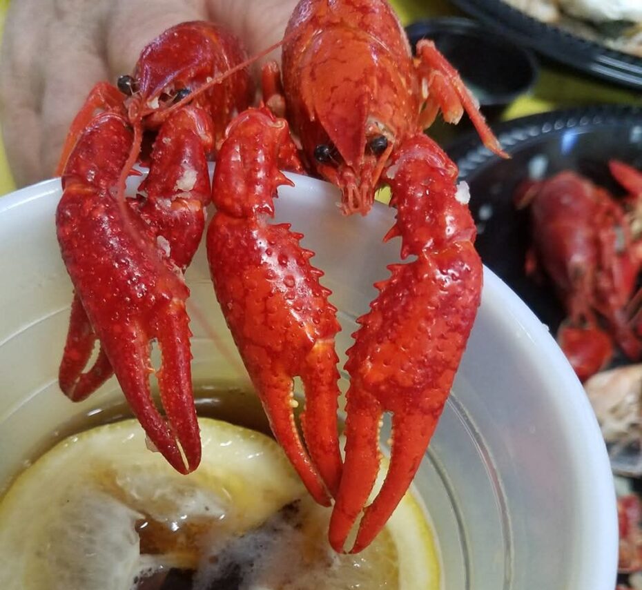 Crayfish Boil – Gracies Point